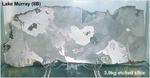 lakemurray3k9
