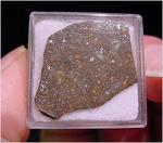 sahara001823g198