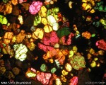 NWA 5363 (Brachinite) in thin section at 30x magnification. This is one of the stones currently involved in the controversy regarding possible pairings with NWA 5400 the 